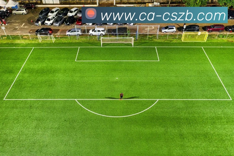 彩神争霸发展历程